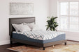 14 Inch Chime Elite 2.0 Mattress - Home Discount Furniture - NJ-linden