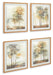 Bryneford Wall Art (Set of 4) - Home Discount Furniture - NJ-linden