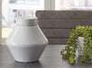 Domina Jar (Set of 2) - Home Discount Furniture - NJ-linden