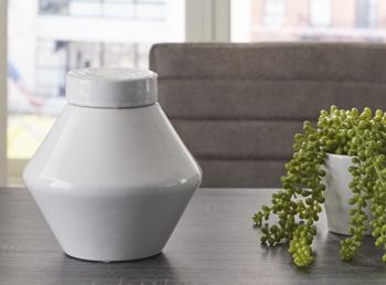 Domina Jar (Set of 2) - Home Discount Furniture - NJ-linden