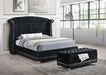 Barzini Queen Tufted Upholstered Bed Black - Home Discount Furniture - NJ-linden