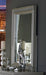 Homelegance Bevelle Mirror in Silver 1958-6 image